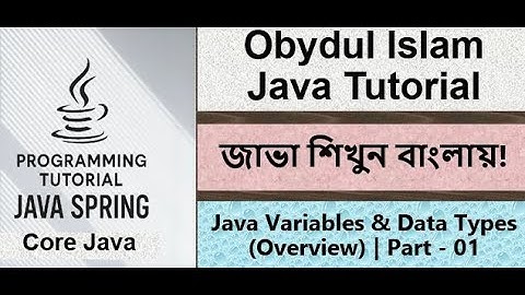 Bangla Java Tutorial 017 - Java Variables & Data Types (Overview) Part - 01 | Core Java