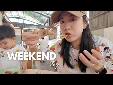 碎片记录 (乱乱录) CNY weekend vlog | Jordan 2岁2月