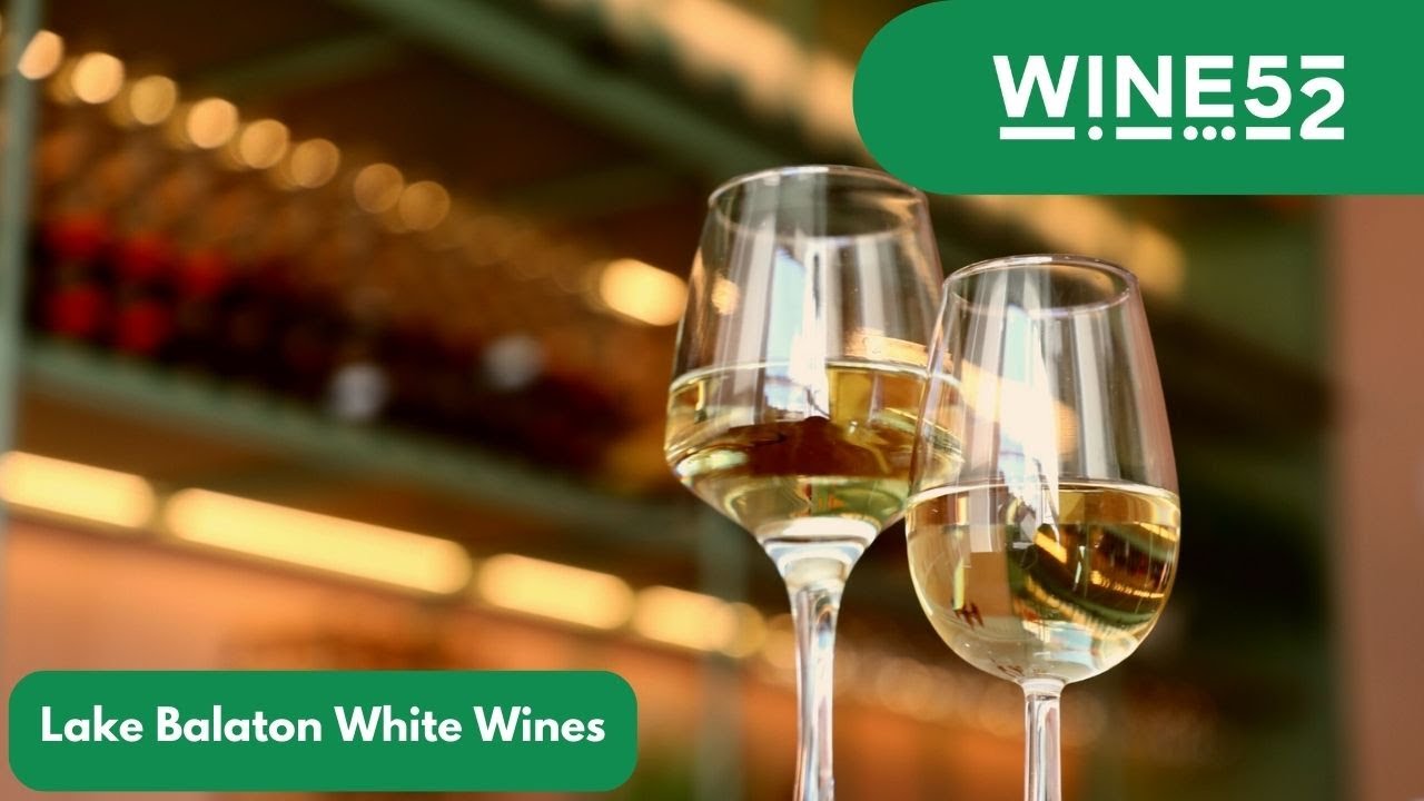 Lake Balaton White Wine Breakdown