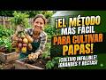 El método más fácil para cultivar papas
