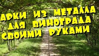 Дачные хитрости Арки из металла для винограда своими руками Дачные советы от мастера Дачный ответ