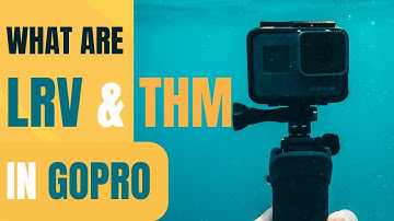 What are THM and LRV Files in GoPro. Safe to Delete? Urdu | Hindi | English