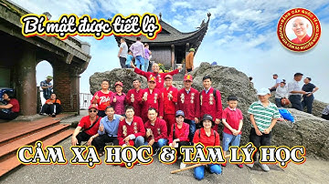 Cảm Xạ Và Tâm Lý Học: Bí Quyết Làm Chủ Cuộc Sống Tuyệt Vời | Nguyễn Ngọc Sơn