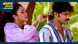 Nagarjuna And Sushmita Sen Telugu Movie Scene | @ThappakaChudandi9