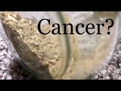 Yerba Mate and Cancer