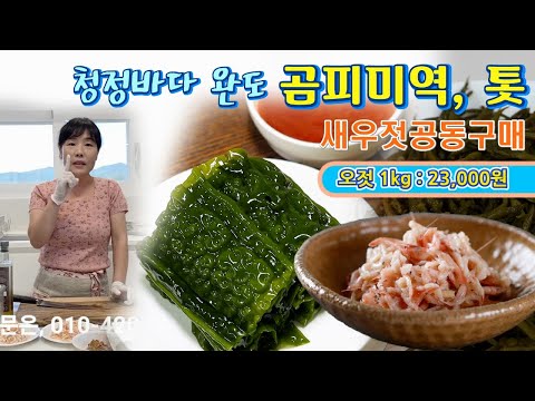 🔴 김장김치 새우젓은 지금부터 준비, 완도 곰피미역, 톳
