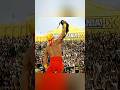 WWE Honors Hulk Hogan: The Wrestling Legend 👀 Salute to Hulk Hogan – The Legend of WWE Wrestling