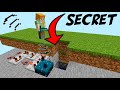 Secret Sculk Door or Trap! [Programable] | 1.17 Minecraft