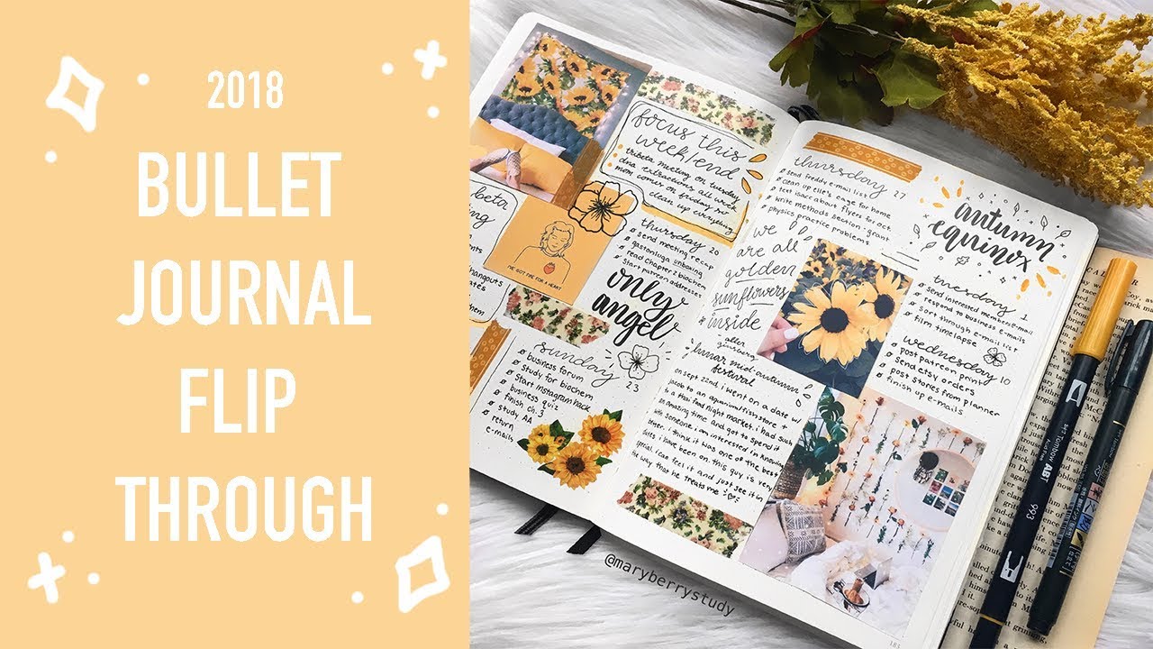 2018 Bullet Journal Flip Through ✨
