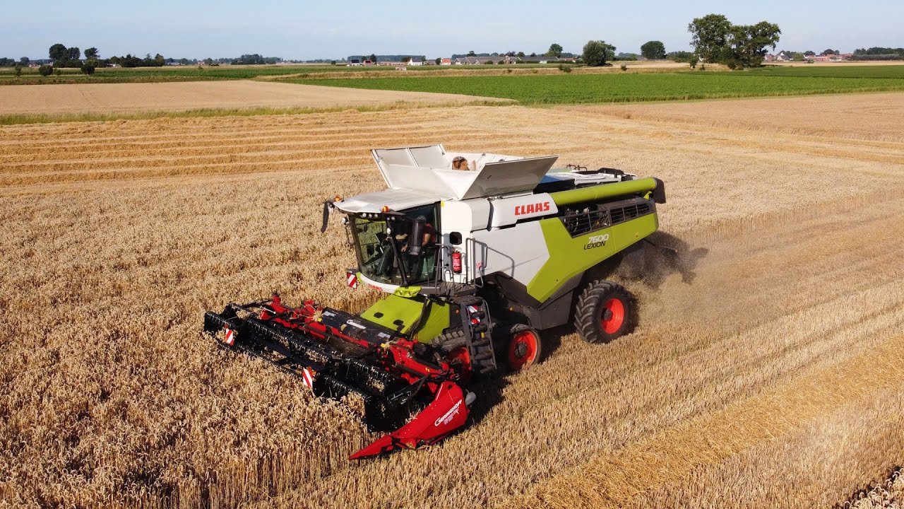 Claas Lexion 7600 - Loonbedrijf Neyt - tarwe dorsen