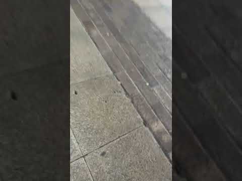 Free dribble #basketball#funny#clip
