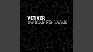 Vignette de la vidéo "Vetiver - Been So Long"