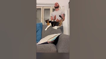 Ethereum smart arbitrage robot  #MEV  #MiningPool #MaximumExtractionValueofMiners  #mining