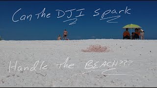 DJI Spark - Can it handle heat and bright sun at the beach??