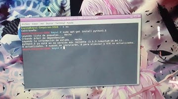 instalar python en linux mint