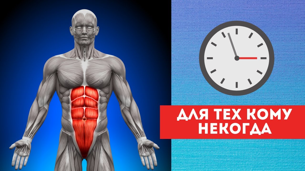 Прямые мышцы живота - YouTube