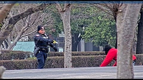 Surveillance video shows the moment the UH sexual assault suspect was arrested
