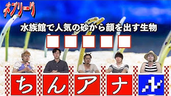 ネプリーグ Youtube ネプリーグ Youtube