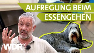 Stress beim Restaurant-Besuch: So entspannen sich Hunde dauerhaft | Hunde verstehen | S06/E04 | WDR