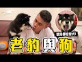 【 昶詠😎VLOG 】大家都說想看我家毛小孩柴柴的一天！ 我就不信他的觀看比我高！？【豹子腿方昶詠】