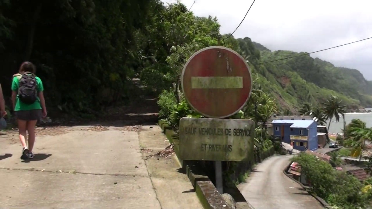 Le Serpent trigonocéphale de la Martinique à Grand Rivière - Bothrops lanceolatus