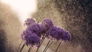OST I Hear Your Voice - Echo (Acoustic) - Every Single Day (에코 - 에브리 싱글 데이)