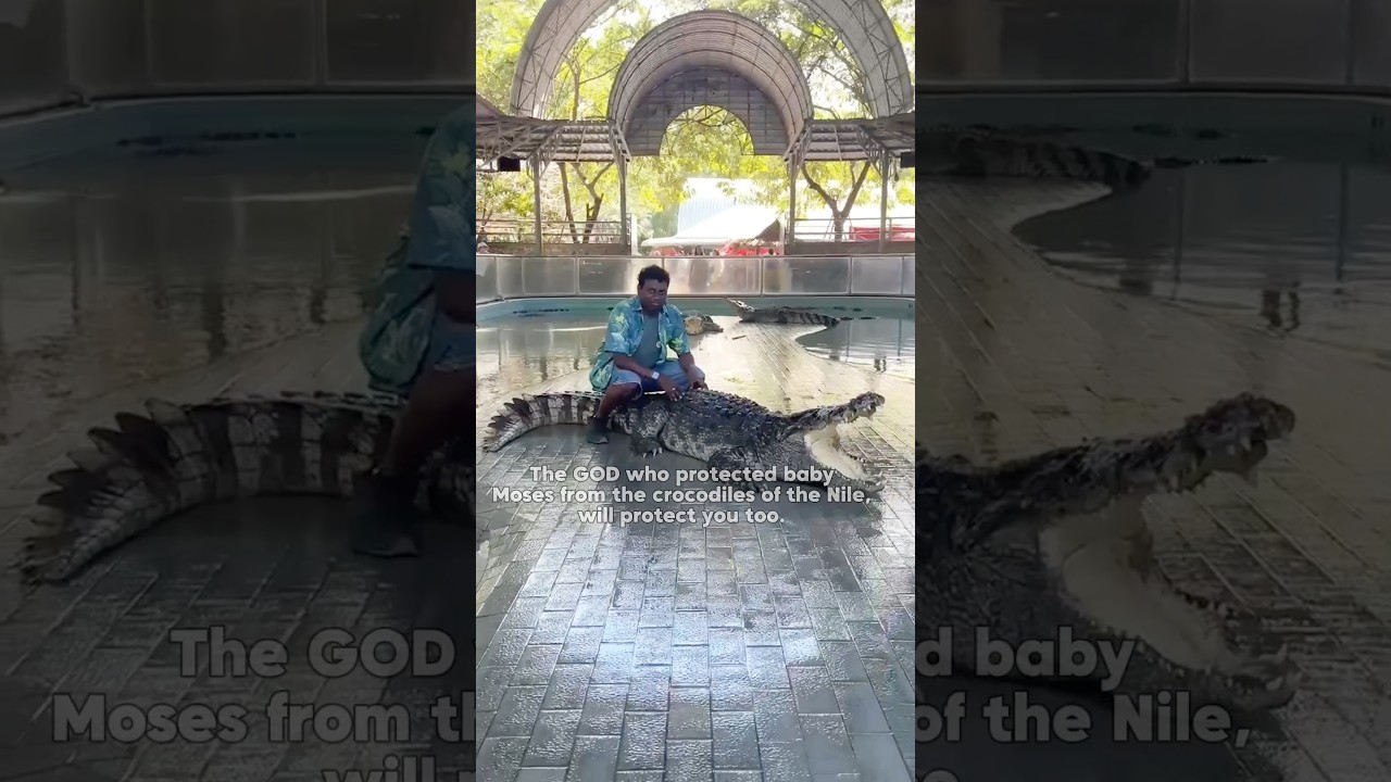 If GOD Protected Moses Among Crocodiles, HE Can Protect You | Christian #Shorts #TrustGod #godsword