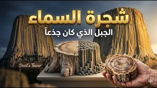 السر المرعب لجبل الشيطان.. هل هي شجرة السماء؟