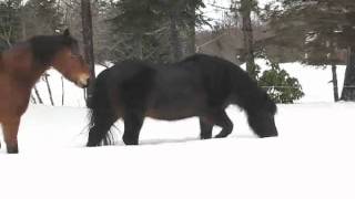 a winter view.wmv