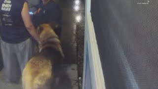 3 charged after animals found in U-Haul truck