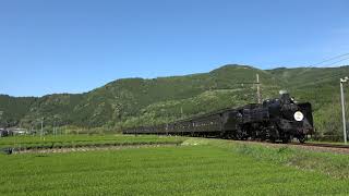 大井川鐡道 SLかわね路14号 C56-44 令和HM 2019/05/02