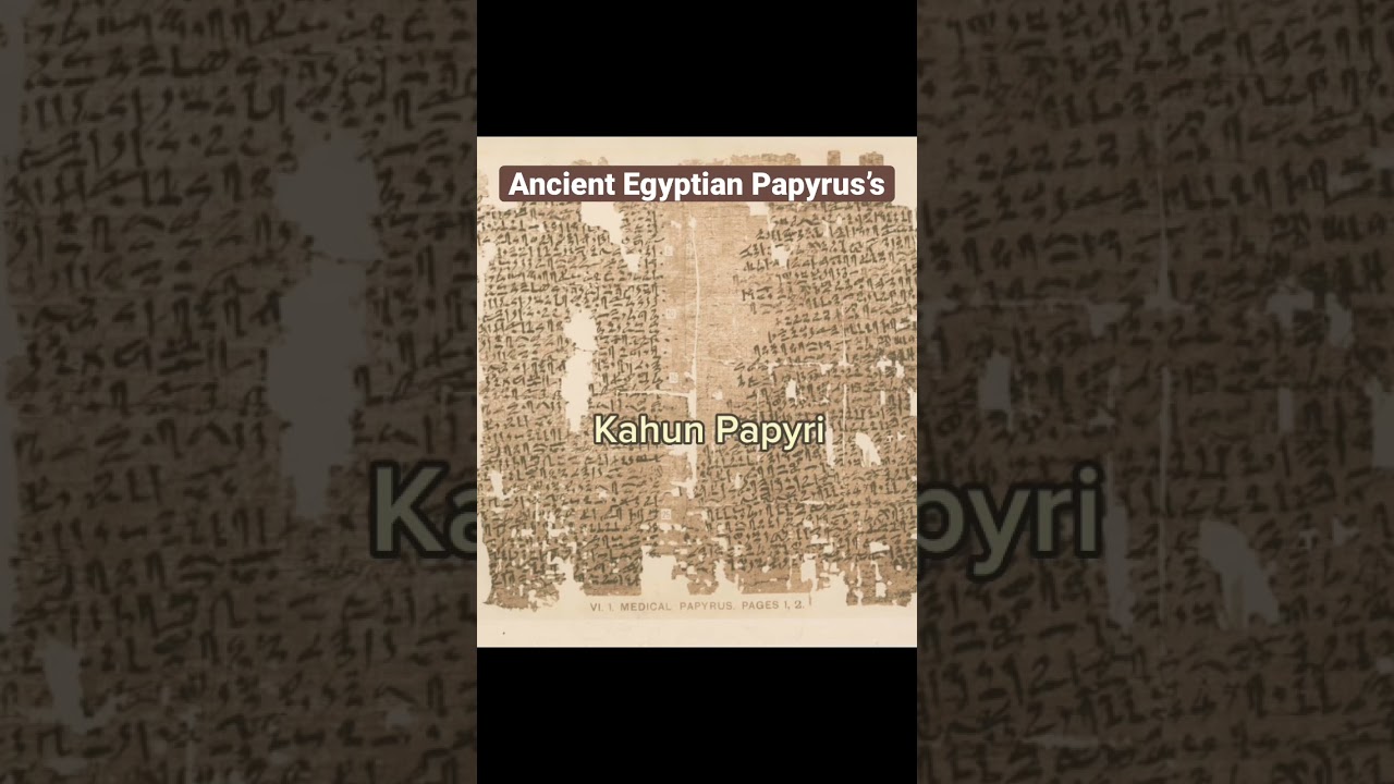 Ancient Egyptian Papyrus’s 