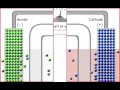 A simple voltaic cell animation