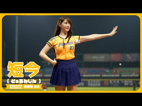 台湾チア・短今（Sammie）サミー Passion Sisters 中信兄弟啦啦隊 臺中洲際棒球場 2023/04/12【台湾チアTV】