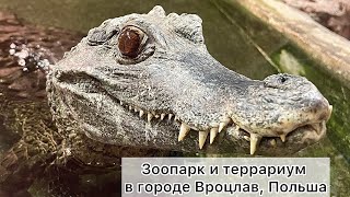 Zoo and terrarium in Poland 🐊 Зоопарк и террариум г. Вроцлав, Польша 🐍