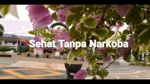 Hidup Sehat Tanpa Narkoba