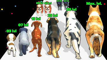 Dog Evolution Run - Upgrade Dog, Max Level ASMR Gameplay #asmrgameplay #satisfyingasmr #levelup