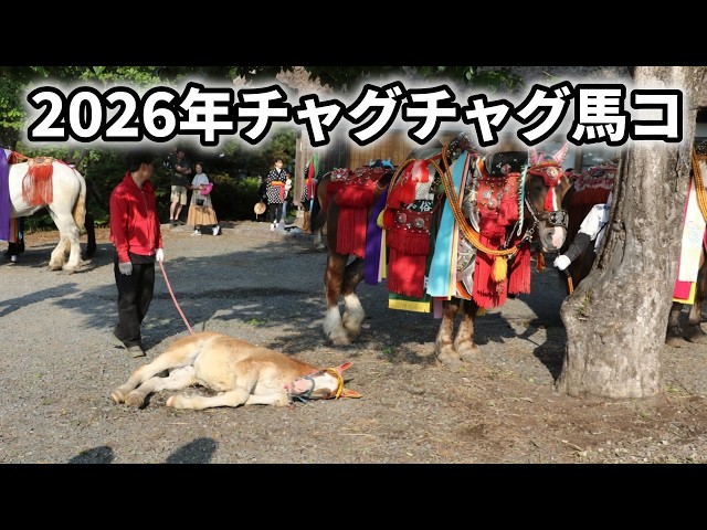 2026年チャグチャグ馬コ（2026 ChaguChaguHorseFestival） - YouTube