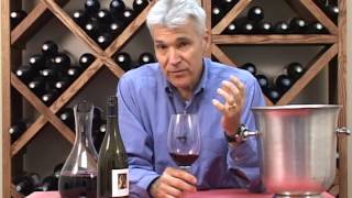 Two Hands 2009 Shiraz Angels' Share, McLaren Vale