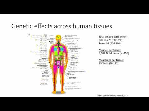 Quantitative Biological Research with Python - Lesson 8, Lecture - Gene Expression