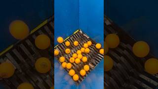 Shredding Plastic Balls And Other Stuff | Gojzer #Shorts