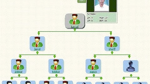 Mlm Software Solutions Provider Developer Designer Programmer Consultant Analyst Offer