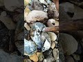 Didn't expect to find grains of gold in this stone.🔨🔨⚒️⚒️#gold #puregold #goldbar #goldinvestment