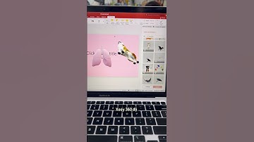 Bí kíp làm Power Point cực kì độc đáo, rinh ngay điểm cao khi thuyết trình 😺