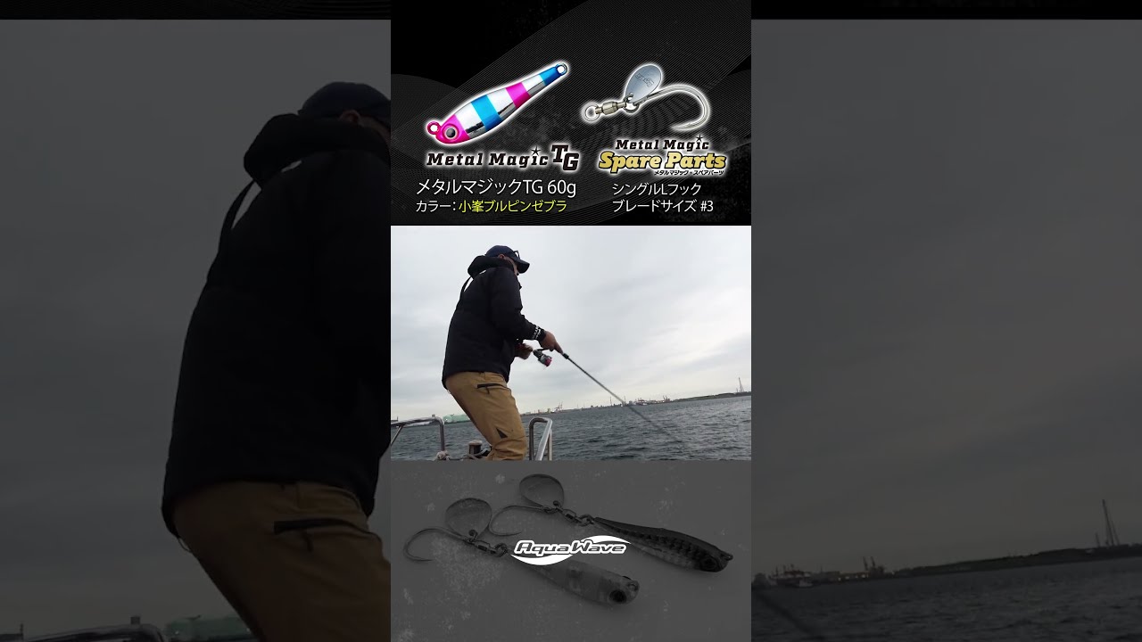 メタルエフェクト サゴシチューン | ジャクソン | Jackson