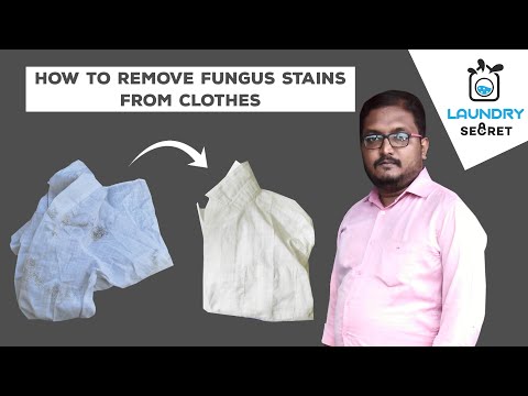 How to remove fungus stains from clothes | Fungus stain removal from white shirt |  Laundry Secret