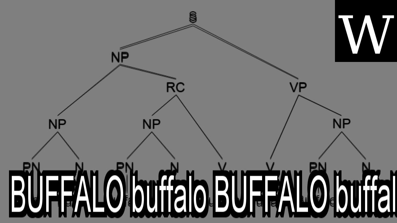play BUFFALO buffalo BUFFALO buffalo buffalo buffalo BUFFALO buffalo - WikiVidi Documentary