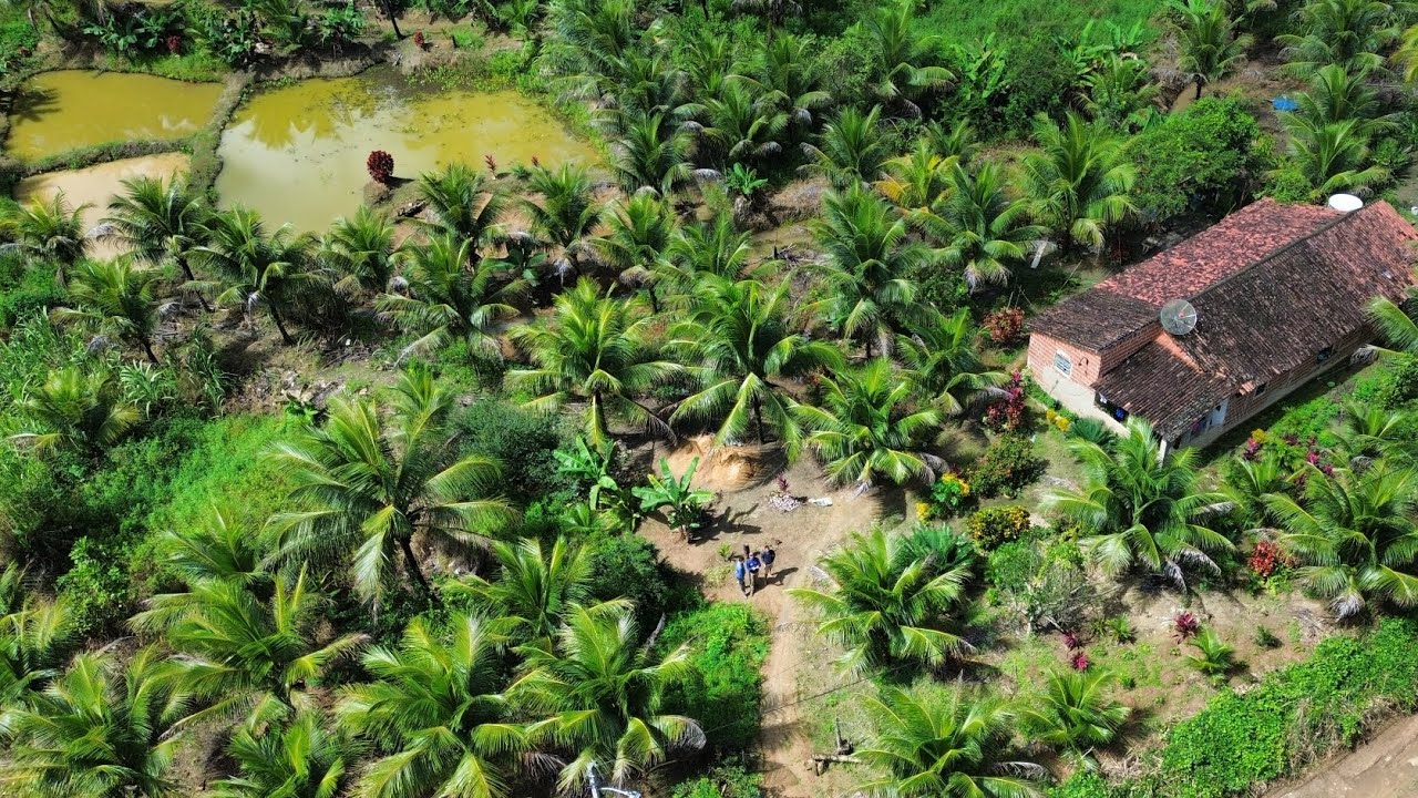 sitio 7 hectares em palmares PE  energia internet água entrega com escritura casa 3 quartos $400 mil