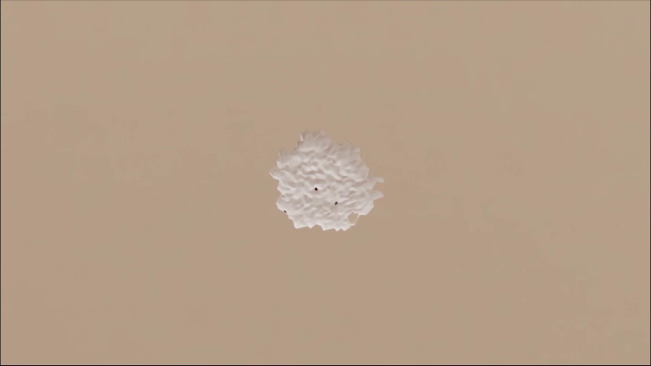 Wall Web Device - Repair Gyprock Wall FAST