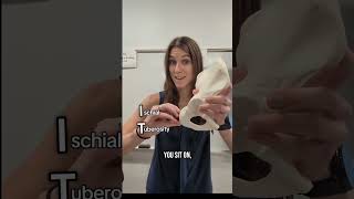 Right or left hip bone? #anatomy #anatomyandphysiology #science #stem #anatomyquiz